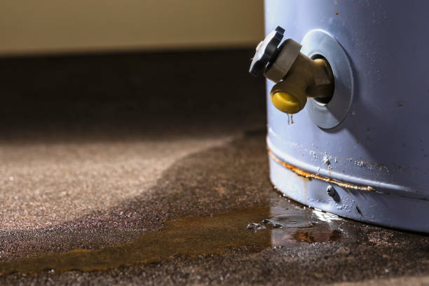 Best Residential water damage restoration  in Southchase, FL