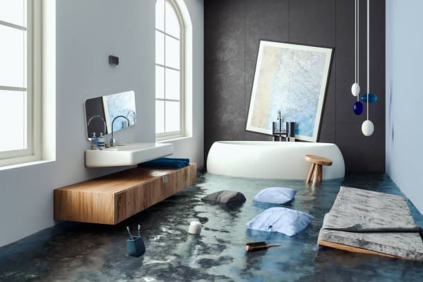 Best Mold removal after water damage  in Southchase, FL