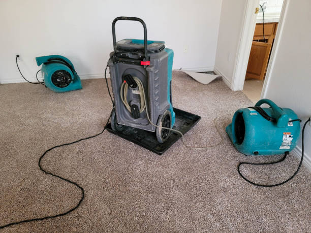Best 24-hour water damage restoration  in Southchase, FL