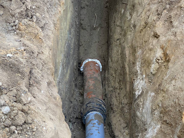 Best Basement water damage restoration  in Southchase, FL