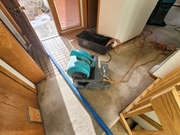Best Sewage cleanup and water damage restoration  in Southchase, FL