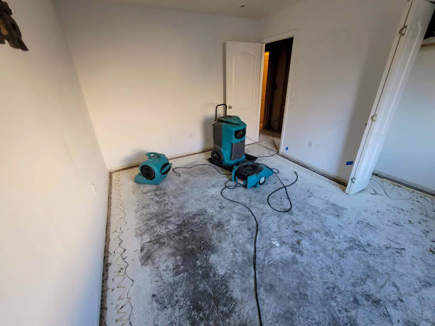Best Water damage restoration near me  in Southchase, FL