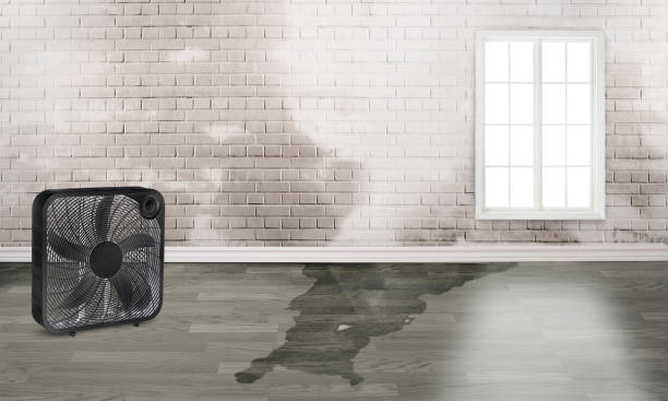  Southchase, FL Water damage restoration Pros