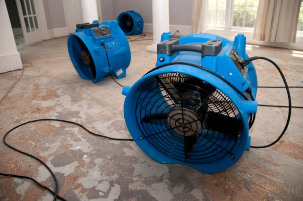 Best Sewage cleanup and water damage restoration  in Southchase, FL