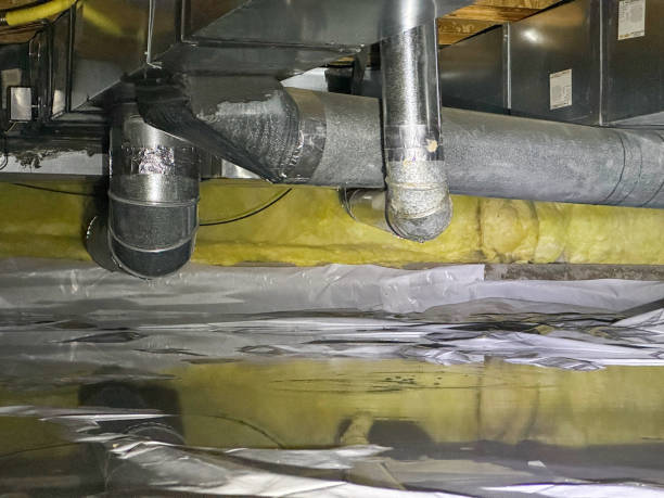 Best Water damage restoration near me  in Southchase, FL