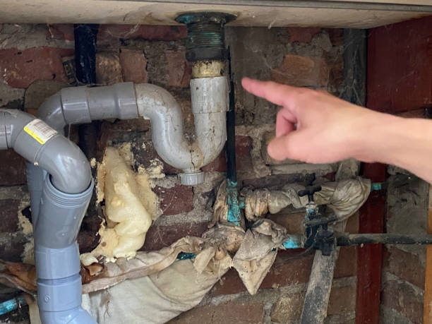 Best Fire Damage Restoration  in Southchase, FL