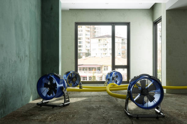 Best Flood restoration services  in Southchase, FL