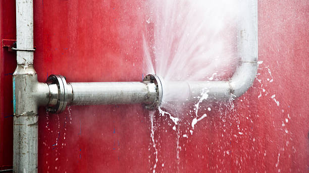 Best Flood restoration services  in Southchase, FL