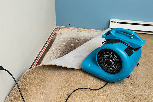 Best Ceiling water damage repair  in Southchase, FL